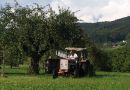 Streuobstarbeiten mit Traktor