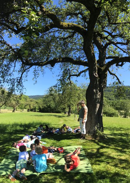 Kinder auf Streuobstwiese