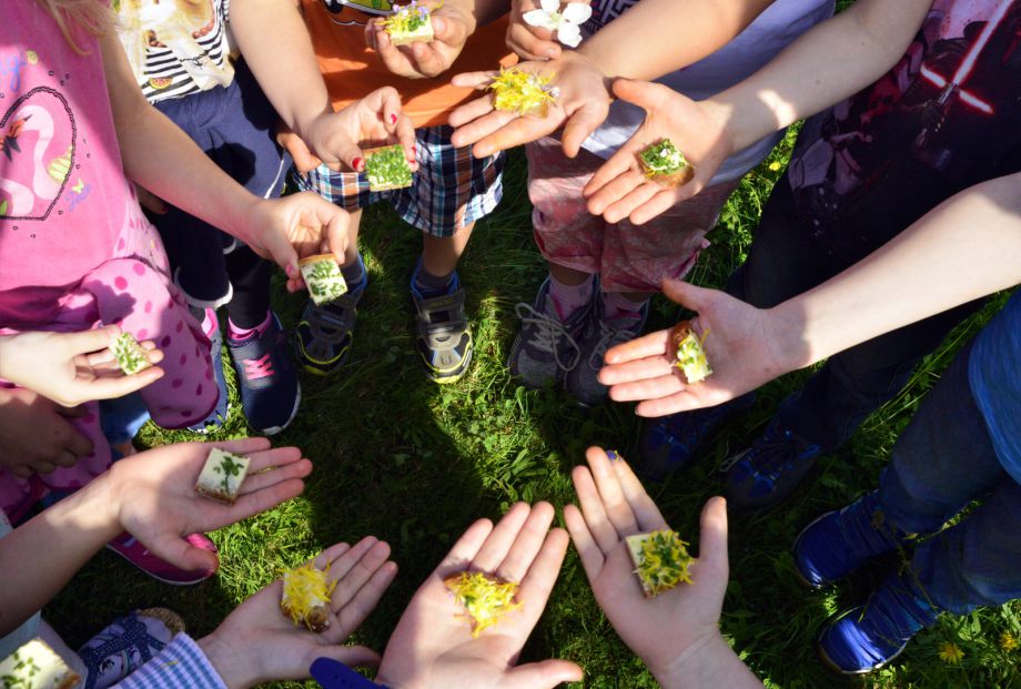 Kinderhände mit gesundem Essen